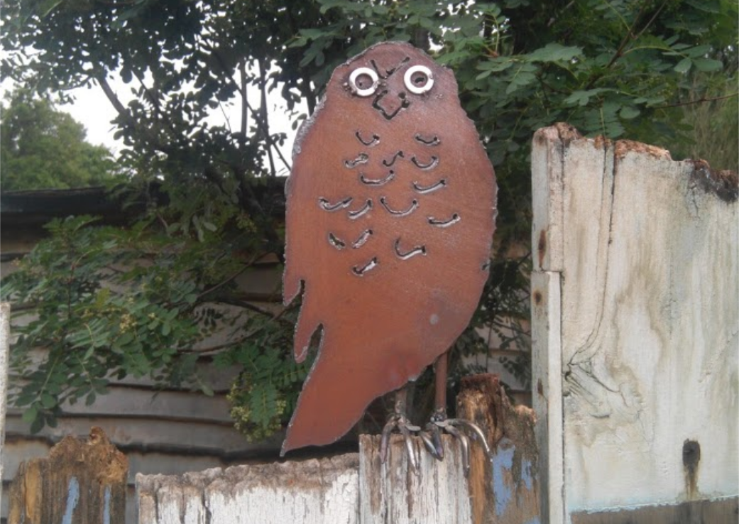 angry_owl